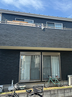 Before image